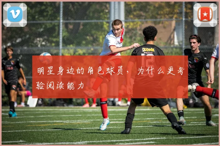明星身边的角色球员,为什么更考验阅读能力