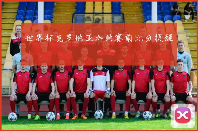 世界杯克罗地亚加纳赛前比分提醒