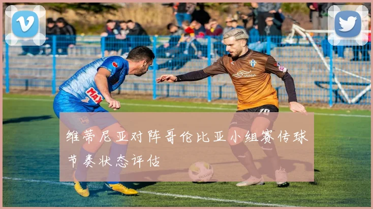 维蒂尼亚对阵哥伦比亚小组赛传球节奏状态评估